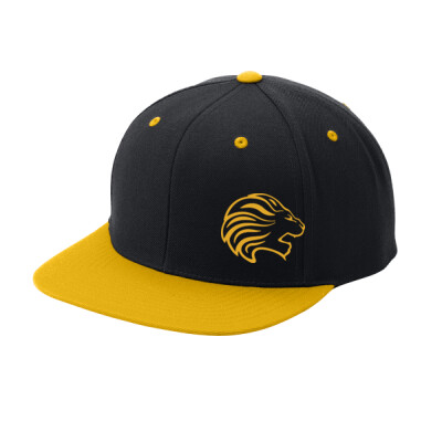 ADULT JBE FLAT BILL SNAPBACK CAP Thumbnail